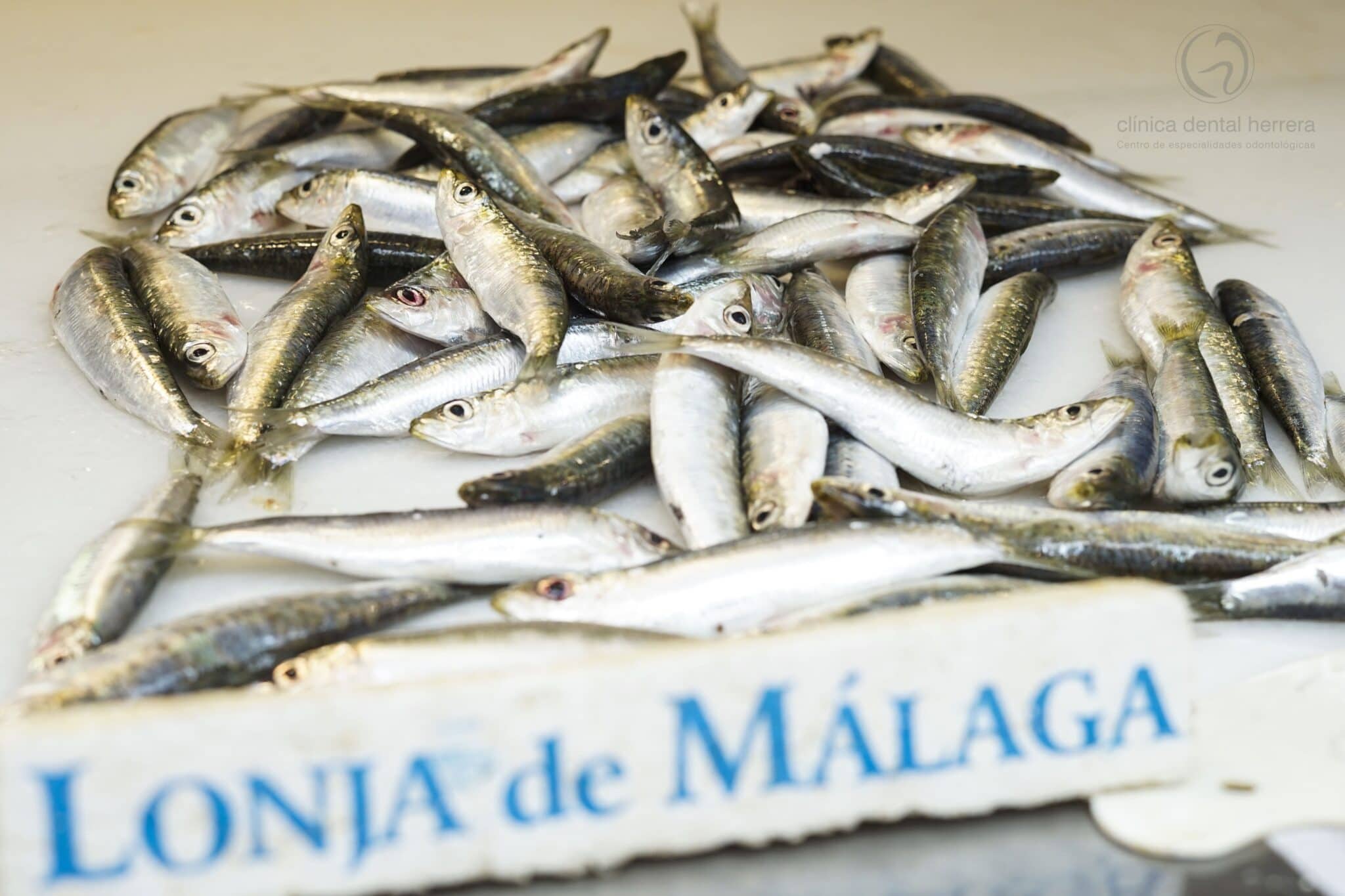 Alimentos con calcio para los intolerantes a la lactosa 1